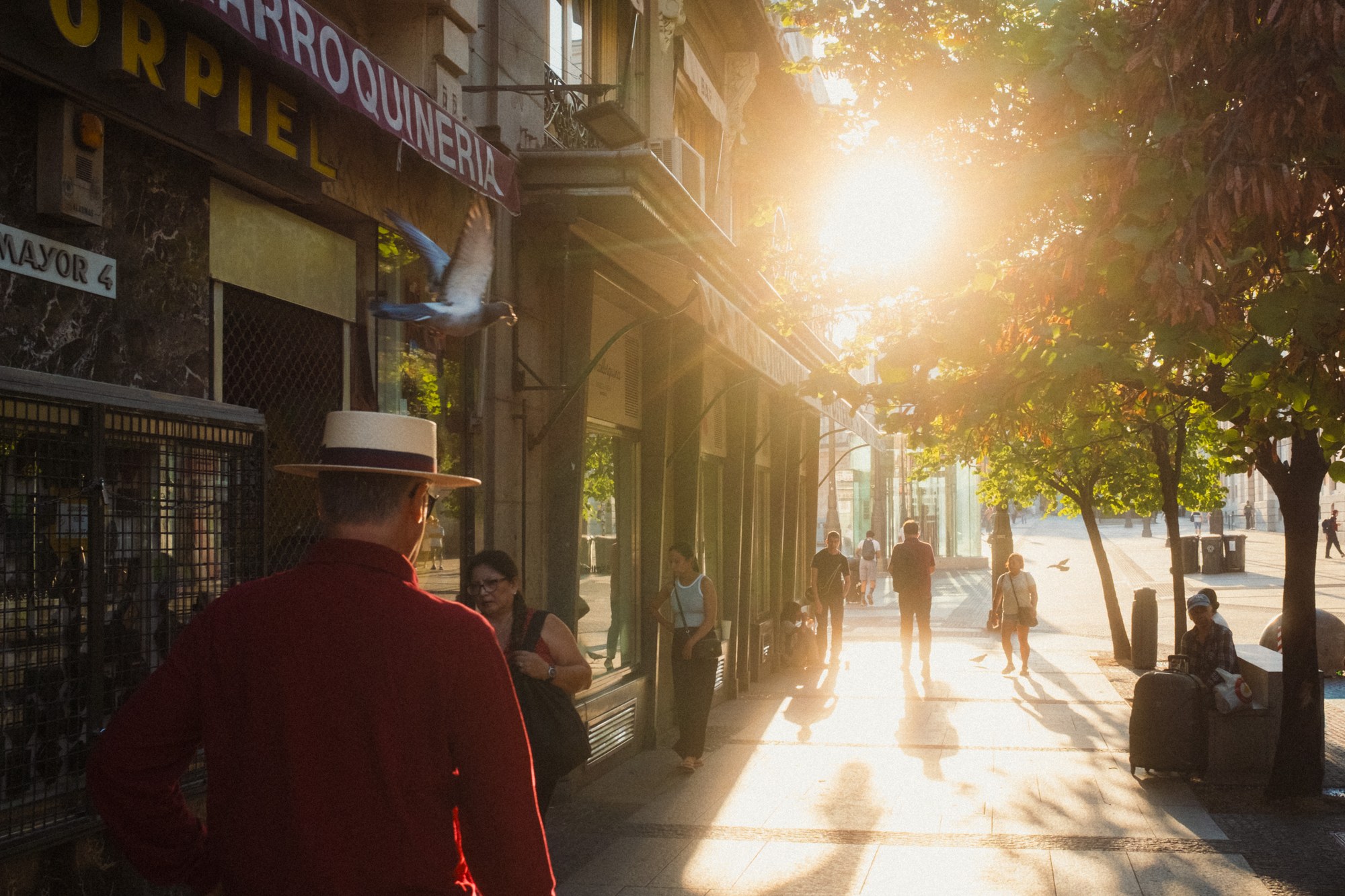 A backlit shopping street: a man in a red shirt and straw hat in the foreground, a pigeon taking off mid-frame, passers-by as silhouettes against the low sun.