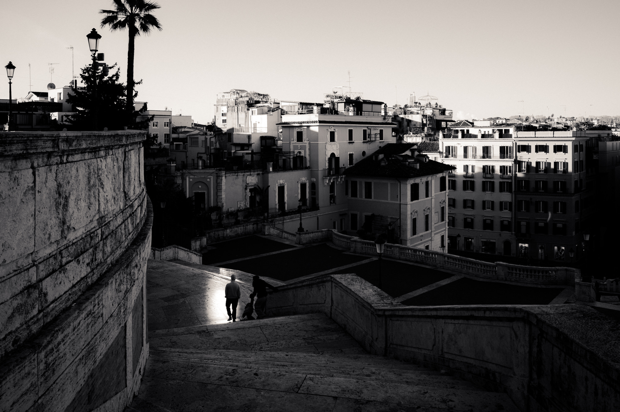 Seen from above in black and white, a figure walks down a wide sunlit staircase above the rooftops of a city.