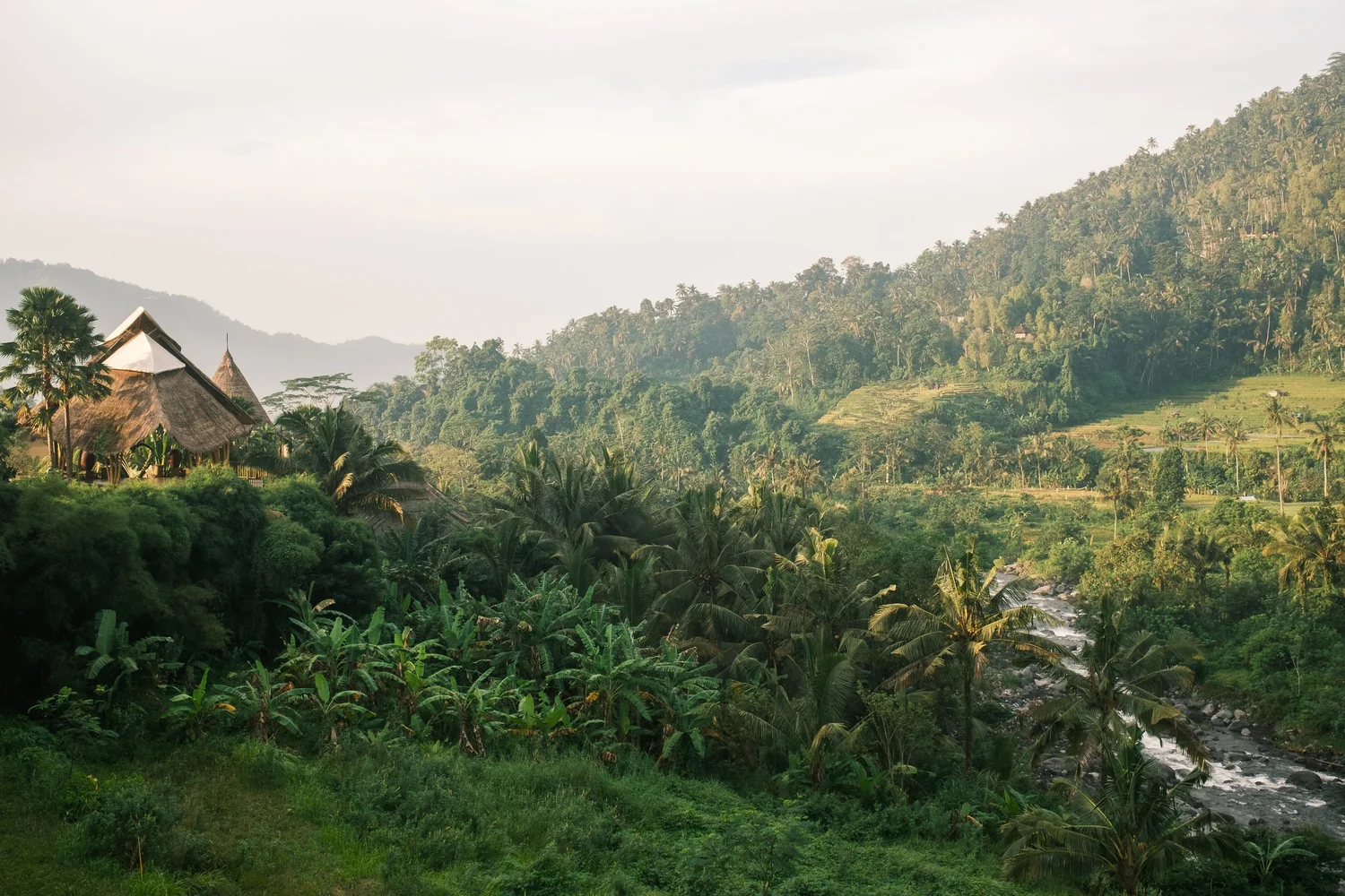 Bali Mornings