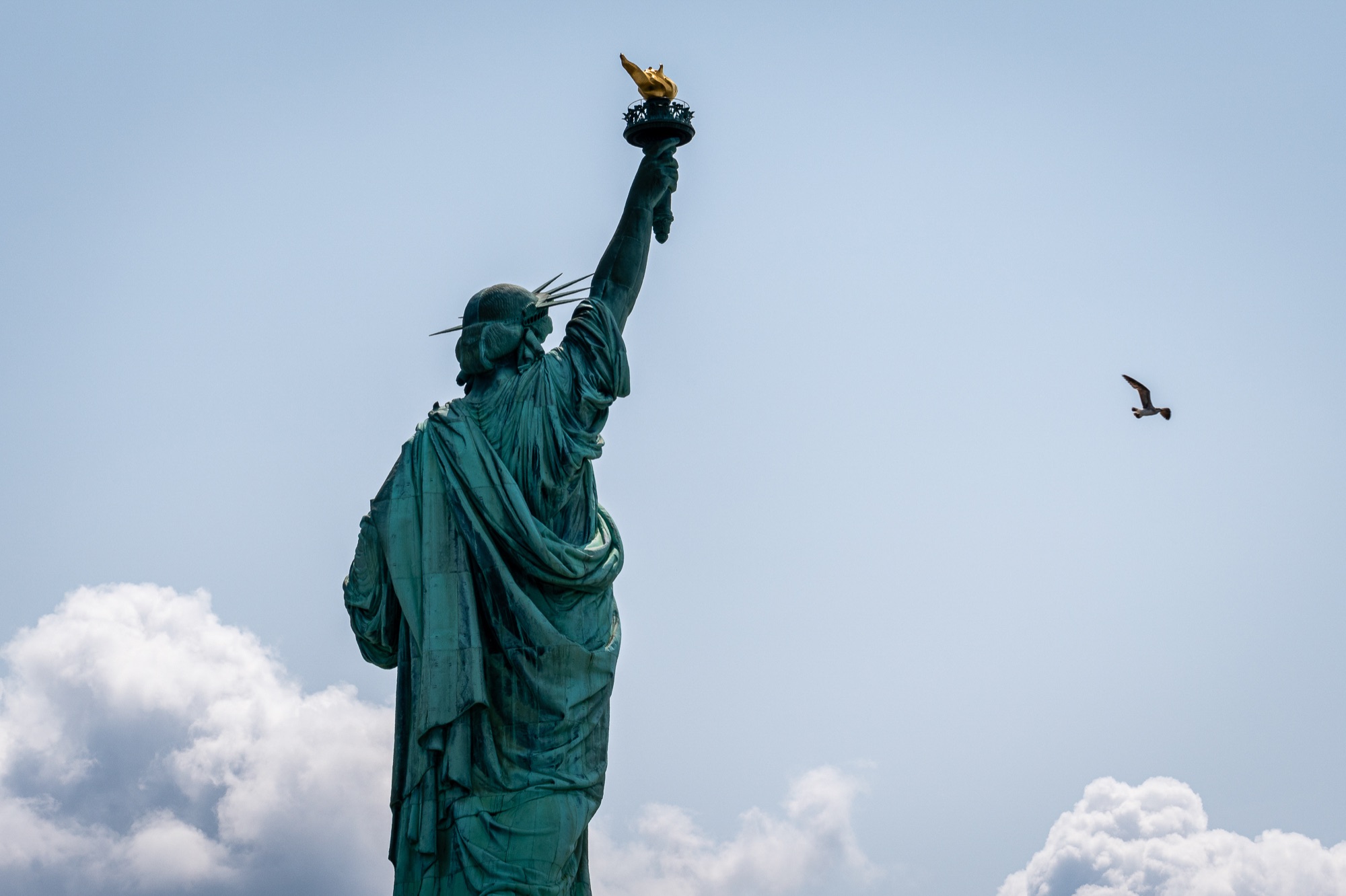 The Statue of Liberty seen from behind against clouds, a gull in flight.