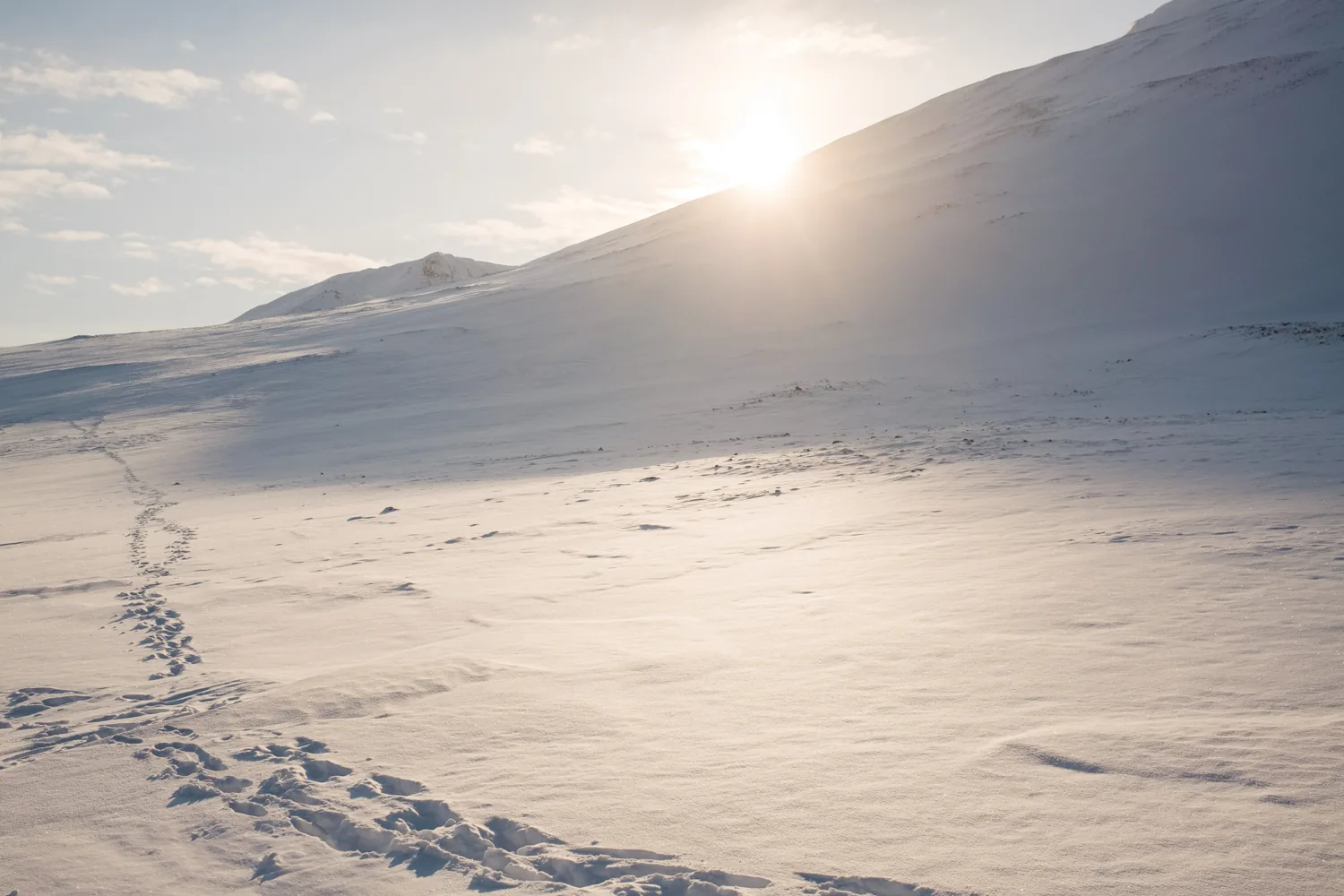 Footprints lead up a snow slope toward the low sun.