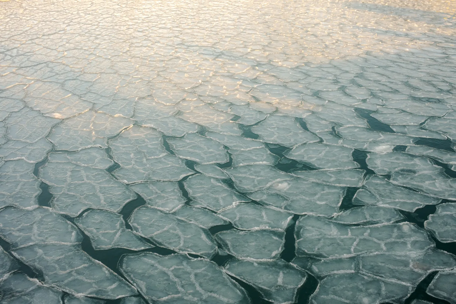 Close-up of broken pack ice, plated fragments at the shore.