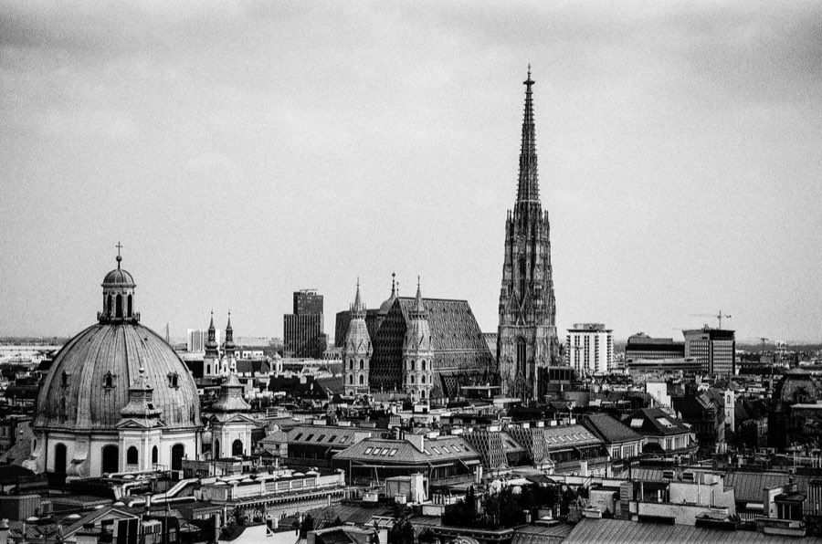 The Vienna skyline in black and white, St. Stephen's spire above the roofs.